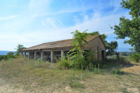 Landejendom i Spinetoli, Ascoli Piceno, Spinetoli - € 160.000 | Ref: 30597 - foto 5