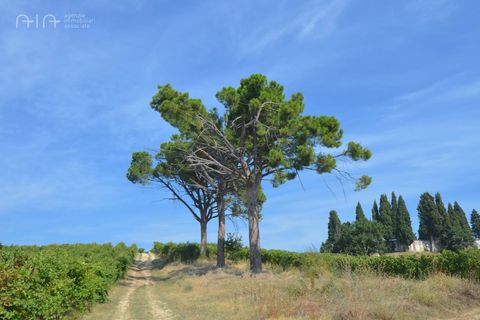 Landejendom i Spinetoli, Ascoli Piceno, Spinetoli - € 160.000 | Ref: 30597 - foto 6