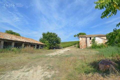 Landejendom i Spinetoli, Ascoli Piceno, Spinetoli - € 160.000 | Ref: 30597 - foto 7