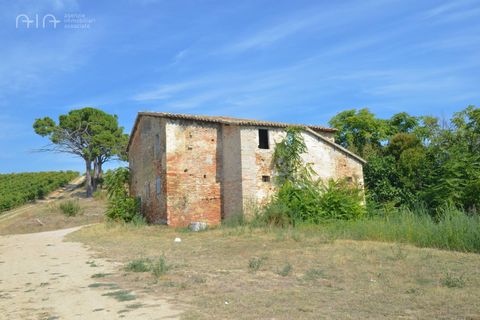 Landejendom i Spinetoli, Ascoli Piceno, Spinetoli - € 160.000 | Ref: 30597 - foto 11