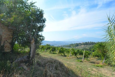 Landejendom i Spinetoli, Ascoli Piceno, Spinetoli - € 160.000 | Ref: 30597 - foto 13