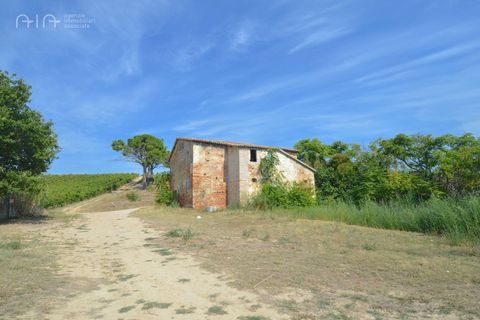Landejendom i Spinetoli, Ascoli Piceno, Spinetoli - € 160.000 | Ref: 30597 - foto 17