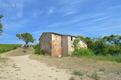 Landejendom i Spinetoli, Ascoli Piceno, Spinetoli - € 160.000 | Ref: 30597 - foto 19