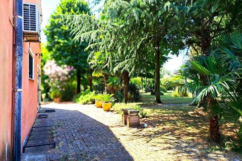 Byhus i Rovigo, Rovigo, Rovigo - € 215.000 | Ref: ROV1154 - foto 25