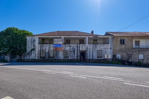 Farm i Macao, Santarem, Macao - € 330.000 | Ref: MAS_394 - foto 3