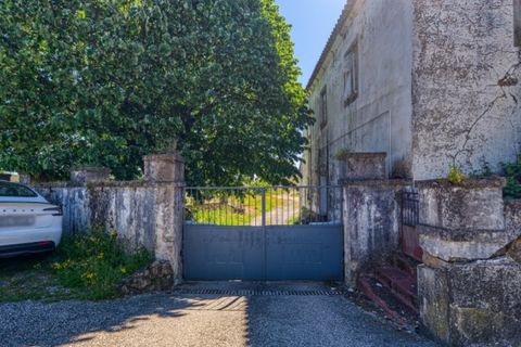 Farm i Macao, Santarem, Macao - € 330.000 | Ref: MAS_394 - foto 4