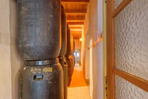 Farm i Macao, Santarem, Macao - € 330.000 | Ref: MAS_394 - foto 17