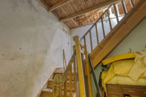 Farm i Macao, Santarem, Macao - € 330.000 | Ref: MAS_394 - foto 36