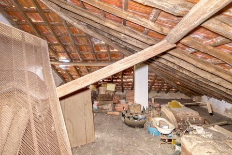 Farm i Macao, Santarem, Macao - € 330.000 | Ref: MAS_394 - foto 37