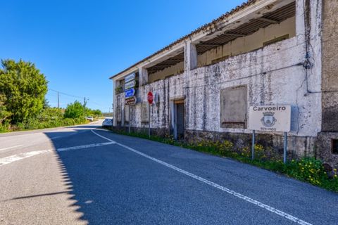 Farm i Macao, Santarem, Macao - € 330.000 | Ref: MAS_394 - foto 50