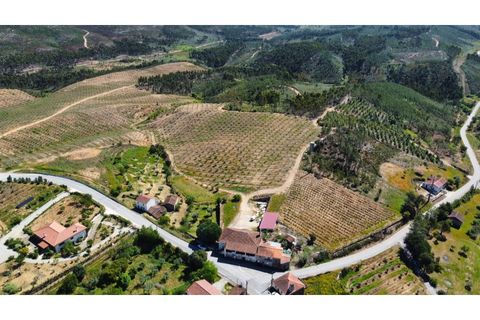 Farm i Macao, Santarem, Macao - € 330.000 | Ref: MAS_394 - foto 1