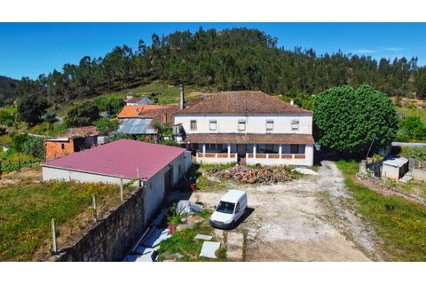 Farm i Macao, Santarem, Macao - € 330.000 | Ref: MAS_394 - foto 2