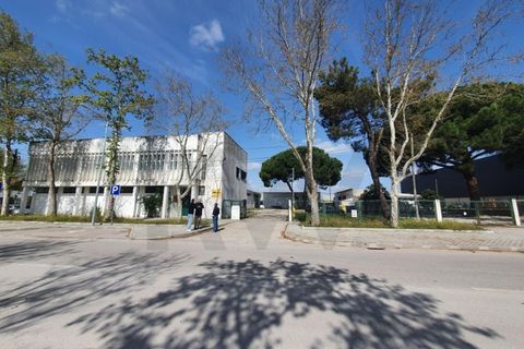 Erhvervsejendom i Coruche, Santarem, Coruche - € 750.000 | Ref: KWPT-028842 - foto 2