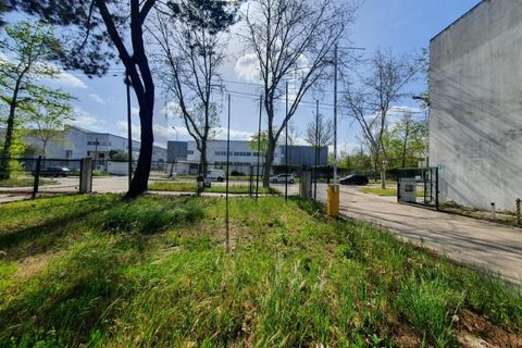 Erhvervsejendom i Coruche, Santarem, Coruche - € 750.000 | Ref: KWPT-028842 - foto 4