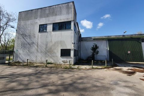 Erhvervsejendom i Coruche, Santarem, Coruche - € 750.000 | Ref: KWPT-028842 - foto 7