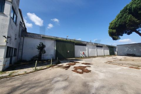 Erhvervsejendom i Coruche, Santarem, Coruche - € 750.000 | Ref: KWPT-028842 - foto 8