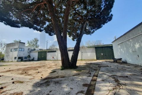 Erhvervsejendom i Coruche, Santarem, Coruche - € 750.000 | Ref: KWPT-028842 - foto 9