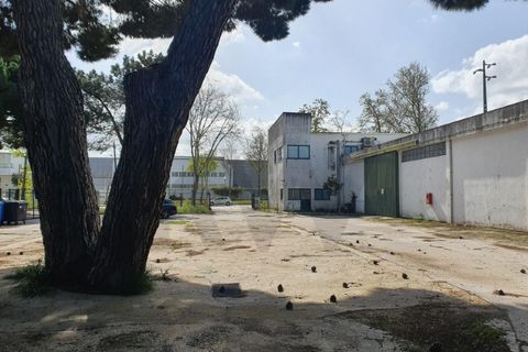 Erhvervsejendom i Coruche, Santarem, Coruche - € 750.000 | Ref: KWPT-028842 - foto 10