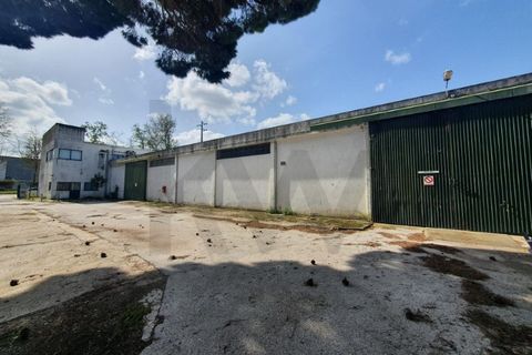 Erhvervsejendom i Coruche, Santarem, Coruche - € 750.000 | Ref: KWPT-028842 - foto 11