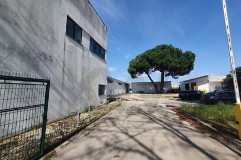 Erhvervsejendom i Coruche, Santarem, Coruche - € 750.000 | Ref: KWPT-028842 - foto 12
