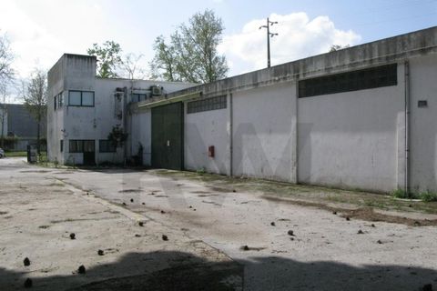 Erhvervsejendom i Coruche, Santarem, Coruche - € 750.000 | Ref: KWPT-028842 - foto 14