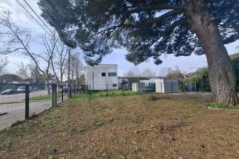 Erhvervsejendom i Coruche, Santarem, Coruche - € 750.000 | Ref: KWPT-028842 - foto 25