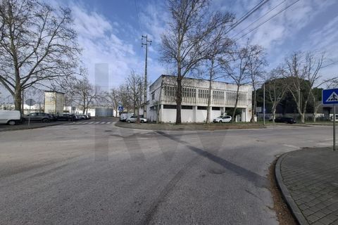 Erhvervsejendom i Coruche, Santarem, Coruche - € 750.000 | Ref: KWPT-028842 - foto 26