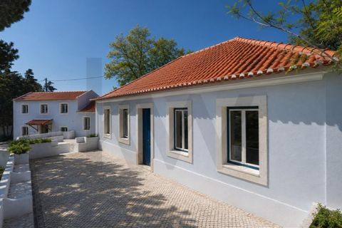 Farm i Setubal, Setubal, Setubal - € 2.850.000 | Ref: KWPT-031016 - foto 4