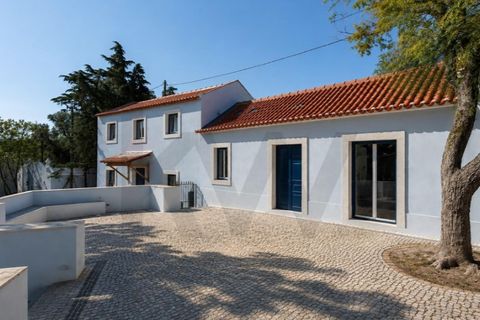 Farm i Setubal, Setubal, Setubal - € 2.850.000 | Ref: KWPT-031016 - foto 7