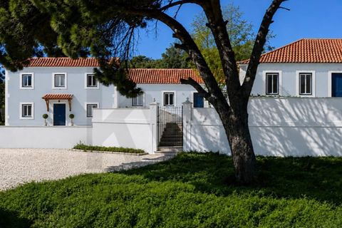 Farm i Setubal, Setubal, Setubal - € 2.850.000 | Ref: KWPT-031016 - foto 12