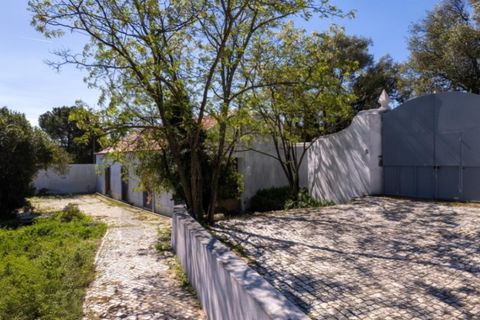 Farm i Setubal, Setubal, Setubal - € 2.850.000 | Ref: KWPT-031016 - foto 13