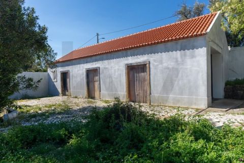 Farm i Setubal, Setubal, Setubal - € 2.850.000 | Ref: KWPT-031016 - foto 18