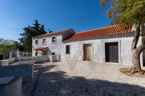 Farm i Setubal, Setubal, Setubal - € 2.850.000 | Ref: KWPT-031016 - foto 23