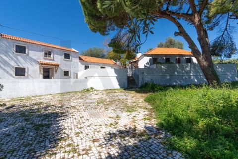 Farm i Setubal, Setubal, Setubal - € 2.850.000 | Ref: KWPT-031016 - foto 30