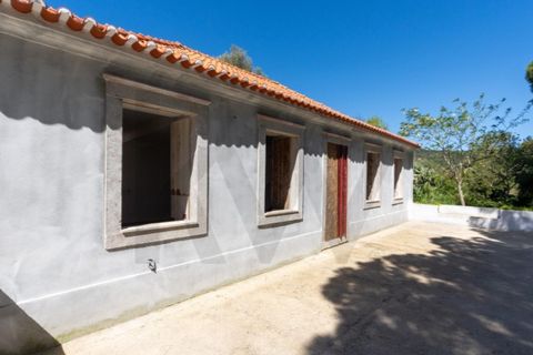 Farm i Setubal, Setubal, Setubal - € 2.850.000 | Ref: KWPT-031016 - foto 39