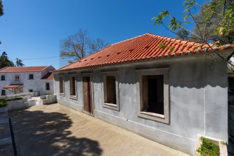 Farm i Setubal, Setubal, Setubal - € 2.850.000 | Ref: KWPT-031016 - foto 40
