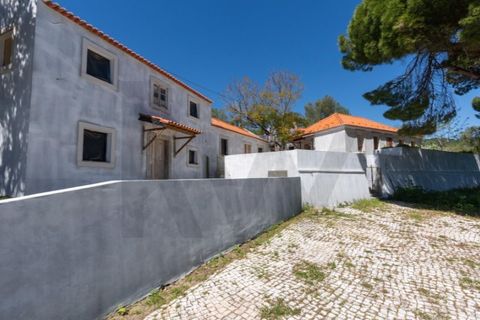 Farm i Setubal, Setubal, Setubal - € 2.850.000 | Ref: KWPT-031016 - foto 42