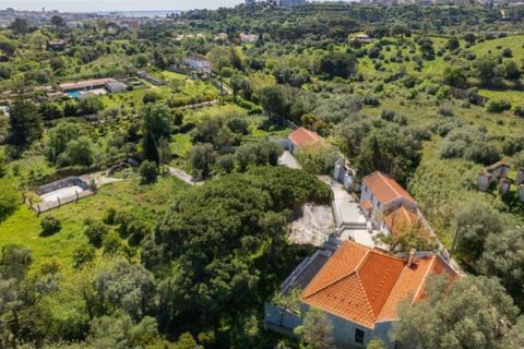 Farm i Setubal, Setubal, Setubal - € 2.850.000 | Ref: KWPT-031016 - foto 43