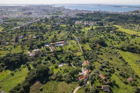 Farm i Setubal, Setubal, Setubal - € 2.850.000 | Ref: KWPT-031016 - foto 45