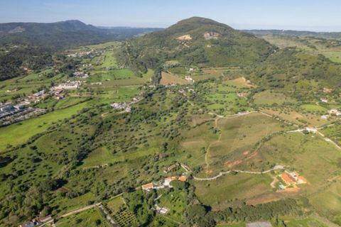 Farm i Setubal, Setubal, Setubal - € 2.850.000 | Ref: KWPT-031016 - foto 46
