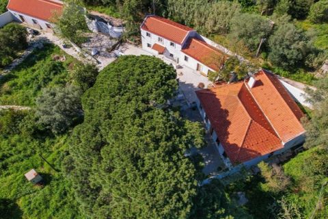 Farm i Setubal, Setubal, Setubal - € 2.850.000 | Ref: KWPT-031016 - foto 48