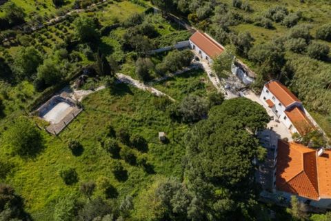 Farm i Setubal, Setubal, Setubal - € 2.850.000 | Ref: KWPT-031016 - foto 49