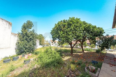 Villa a Chamusca, Santarem, Chamusca - € 340.000 | Ref: KWPT-030855 - foto 25