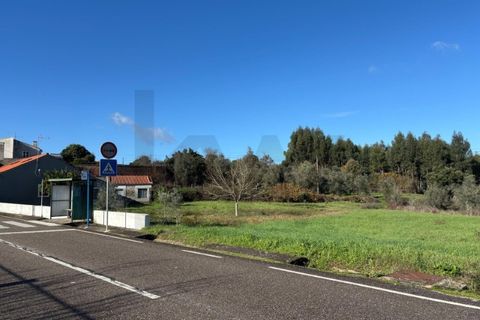 Villa i Tomar, Santarem, Tomar - € 53.000 | Ref: KWPT-026713 - foto 14