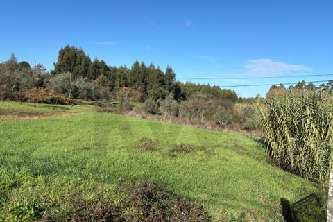 Villa i Tomar, Santarem, Tomar - € 53.000 | Ref: KWPT-026713 - foto 15