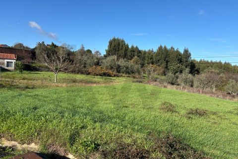 Villa i Tomar, Santarem, Tomar - € 53.000 | Ref: KWPT-026713 - foto 16