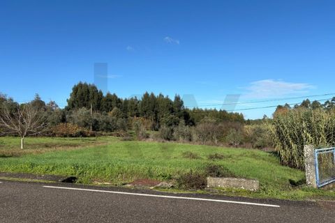Villa i Tomar, Santarem, Tomar - € 53.000 | Ref: KWPT-026713 - foto 17