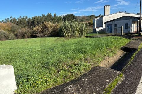 Villa i Tomar, Santarem, Tomar - € 53.000 | Ref: KWPT-026713 - foto 18