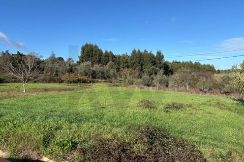 Villa i Tomar, Santarem, Tomar - € 53.000 | Ref: KWPT-026713 - foto 19