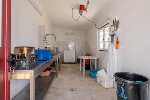 Villa a Gaviao, Portalegre, Gaviao - € 430.000 | Ref: KWPT-030753 - foto 24